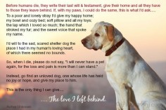 Heart-wrenching poem from an old dog to his owner. What your dog would ask from you when he crosses over to the Rainbow Bridge.