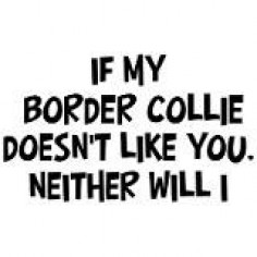 HEHE! True! Unless your border collies are like mine where the bark at someone for 2 minutes then their best friends