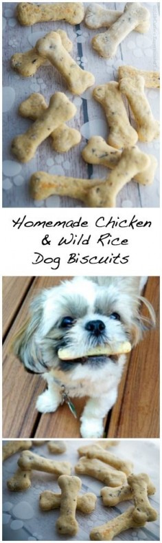Homemade Chicken & Wild Rice Dog Biscuits | Carrie's Experimental Kitchen Treat your dogs to homemade dog biscuits using fresh, wholesome ingredients. #petfriendly #dogs