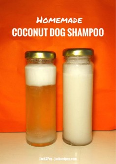 Homemade Coconut Oil Dog Shampoo