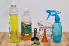 Homemade Fly Repellent for Dogs (with Pictures) | eHow