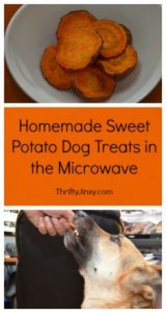 Homemade Sweet Potato Dog Treats