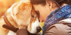 How a Dog Helped Me Manage My Anxiety and Depression- I first began experiencing anxiety and depression at the age of 14 after being bullied at school for years. While at first it would come and go, anxiety ...