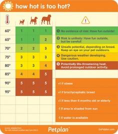 How hot is too hot for your dog? Use this chart from Petplan pet insurance to find out!