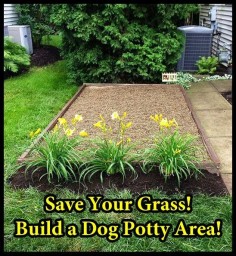 How to Build a Dog Potty  is what I should do for the cats. Maybe then they'd stay out of my flower beds.