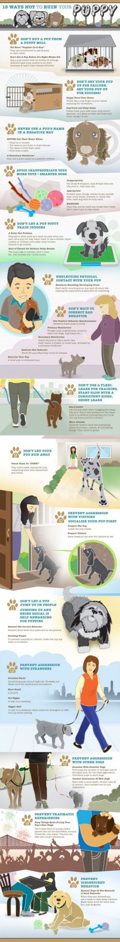 How to handle your puppy. #dogs #pets #puppy