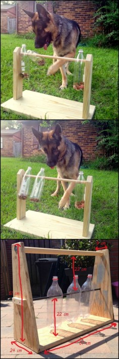 How To Make A Spinning Plastic Bottle Dog Treat Game #dogfun