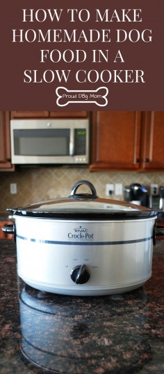 How to Make Homemade Dog Food in a Slow Cooker | DIY Dog Food Recipe |