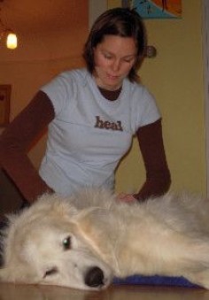 How & Why To Give a Dog Massage: (Your dog wants you to read this!)