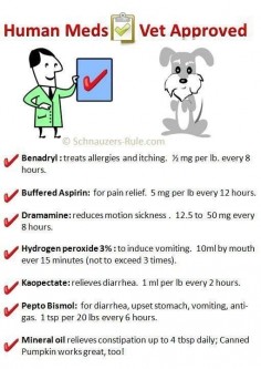 human meds for dogs; have personally used hydrogen peroxide and it works.