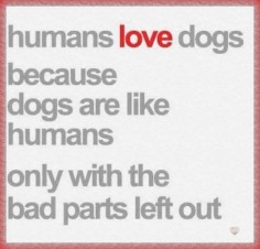 Humans love dogs because dogs are like humans only with the bad parts left out!
