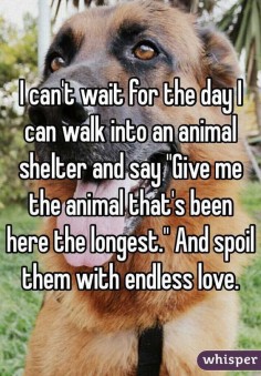 "I can't wait for the day I can walk into an animal shelter and say "Give me the animal that's been here the longest." And spoil them with endless love. "