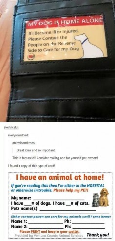 I have an animal at home! This is genius! I'm glad someone thought of this!