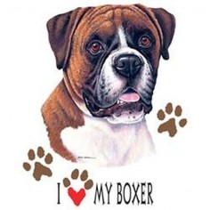 I Love My Boxer Dog on Unisex White T Shirt 07772HD4