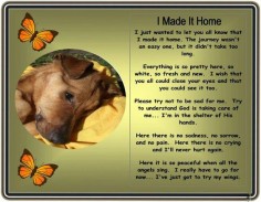 I made it home ~ loss of pet great to give to kids when they lose a pet to ease the pain