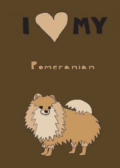 i ♥ my pomeranian. he is in Heaven now, but i'll ALWAYS ALWAYS love him. Rest in peace Boston George♥ mama loves you so so much!!!