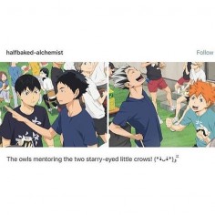 I never noticed Kageyama had interacted with Akaashi, its so cute!