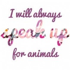 I will always speak up for animals. ALL animals, not just puppies and kittens. I am vegan for life.