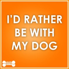 I'd rather be with my dog.