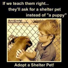 If we teach them right, they'll ask for for a shelter pet instead of a puppy. ♥