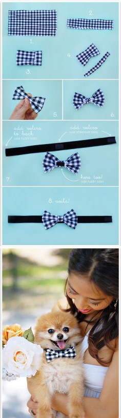 If you own a dog, you have no excuse NOT to make this doggie bow tie. | 31 Easy DIY Projects You Won't Believe Are No-Sew