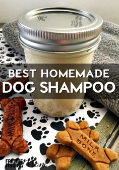 Is your dog stinking or maybe your furry family member has dry, itchy skin? Whip up this easy four ingredient recipe for the best homemade dog shampoo. This all natural oatmeal dog shampoo contains no harmful chemicals or toxins and will leave your dog fresh and clean plus the oatmeal will help sooth his skin.
