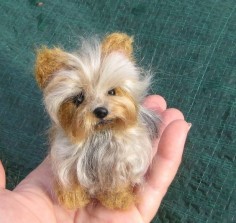 It's cute, it's a yorkie, I MUST have this.