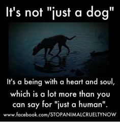 It's not "just a dog"