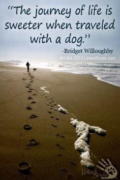 It’s sweeter with a #dog