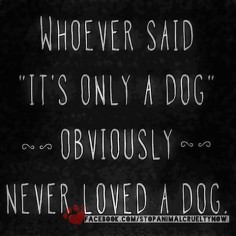 I've loved dogs all my life. I can't imagine being friends with someone that didn't love dogs. And they have to love MY dogs too!