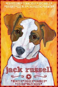 Jack Russell Terrier Dog Art Print - Ursula Dodge Design. (See all the other dog breed paintings of Ursula's at this site.)