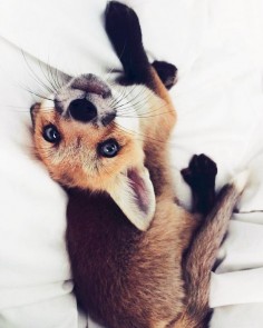 juniper-fox-happiest-instagram-20