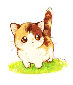 ♥♥♥ Kawaii neko. Translation; cute cat. Cute is cute in any language. ♥ (must love cats)