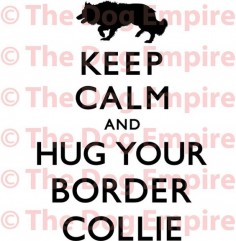 Keep Calm And Hug Your Border Collie Ladies T-shirt