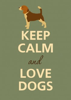 keep calm and love dogs