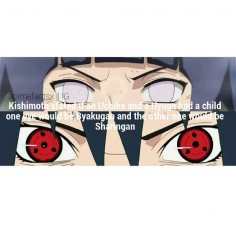 Kishimoto stated if an Uchiha and a Hyuuga had a child, one eye would be Byakugan and the other would be Sharingan. I'VE ALWAYS BEEN WONDERING WHAT HINATA AND SASUKE'S EYES WOULD LOOK LIKE (if they had one)!  That would be terrifying