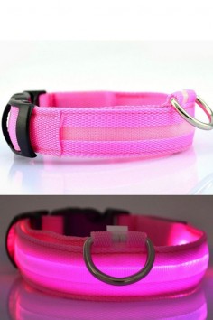 LED Pet Collars – One Of Kind Gifts