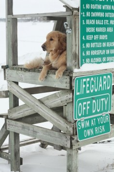 life guard :-)