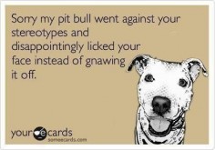 Like any other dog, pit bulls must be trained and socialized-- dont judge a book by its cover-- you may just meet a sweetheart that happens to be a pit bull.