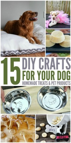 Looking for some awesome DIY projects for dogs, including dog beds, treats, & toys? Check out our 15 DIY Crafts For Your Dog list here!