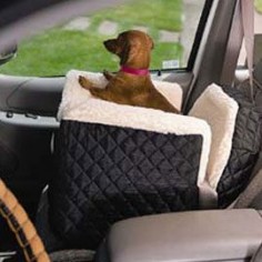 Lookout Pet Seat