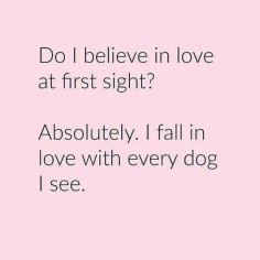 love at first sight dog quote - Google Search