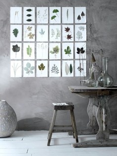 love both the concrete walls and the pressed flowers categorized on the wall - a catalogue of there findings?..