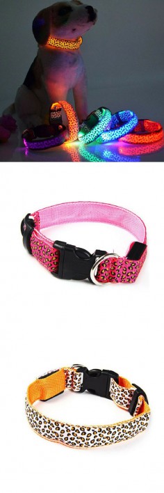 Love Dogs? Then this Dog Collar is perfect for your dog! Grab yours now at 50% off today!