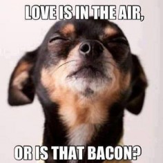 Love is in the air, or is that bacon?