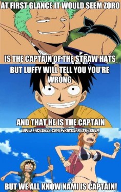 Luffy for the captain! WOOOOH! Then Nami is the vice captain ^_^ *thumbs-up!* One Piece