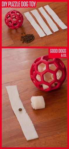 Make your dog a puzzle toy he can work on over and over again. This DIY dog toy only takes two materials, and it's easy to make!