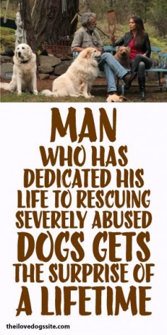 Man Who Has Dedicated His Life To Rescuing Severely Abused Dogs Get Surprise Of A Lifetime