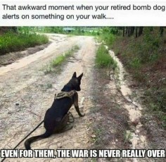Military dogs can suffer from PTSD. Let's help them and human soldiers.