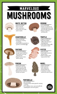 Mushroom are marvelous! Wanna know how to use each variety? Just click through!